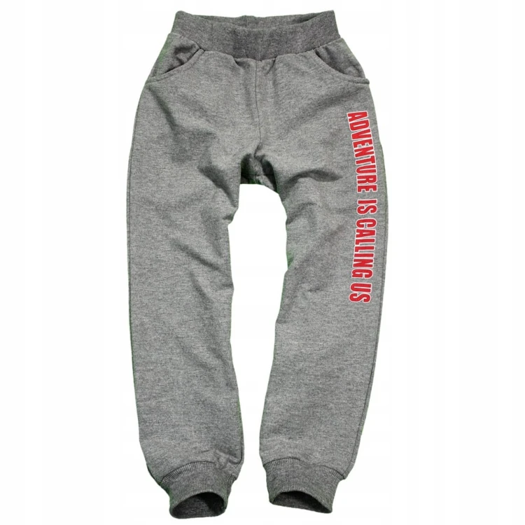 KOMPLET Dresowy DINOZAURY Bluza Spodnie DRES Szary